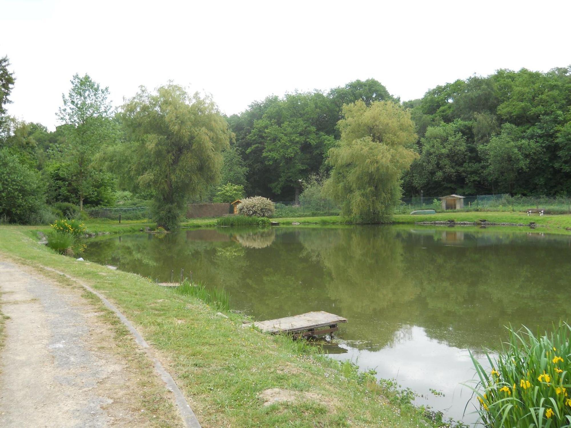 Le Relais De La Haute Sambre Lobbes Bagian luar foto
